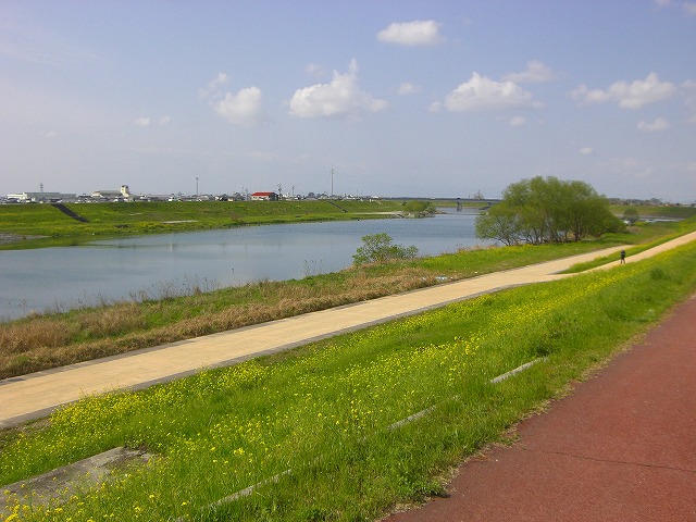 a0082884_11595355.jpg