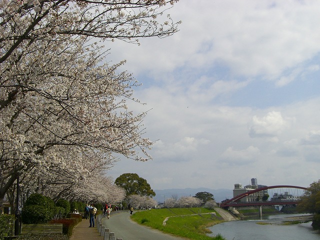 a0082884_120206.jpg