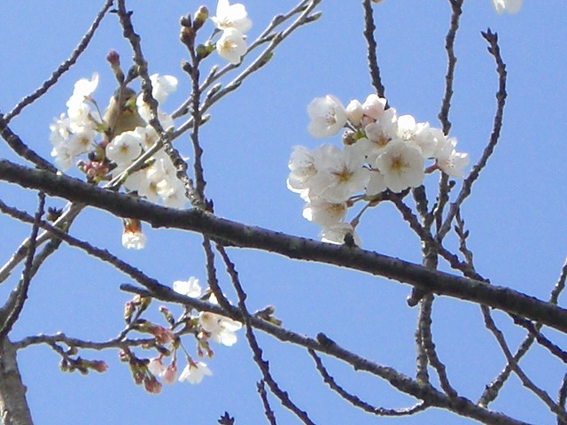 a0082884_1203827.jpg