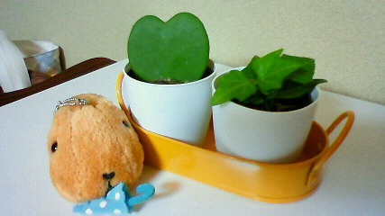 f0197088_21291288.jpg