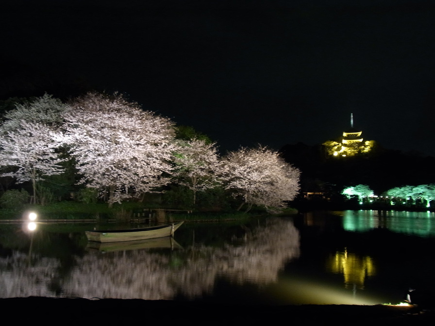 夜桜。_b0085289_23584614.jpg