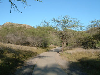f0220791_17123455.jpg