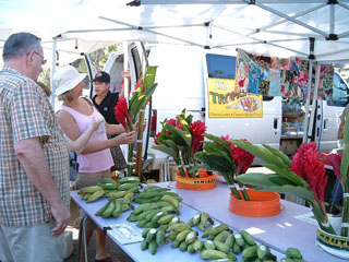 f0220791_22455529.jpg