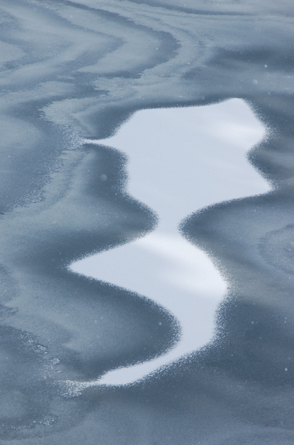 c0134295_17432294.jpg