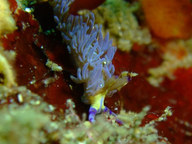 水温上昇！の雲見【2010年4月3日】_f0053895_18151463.jpg