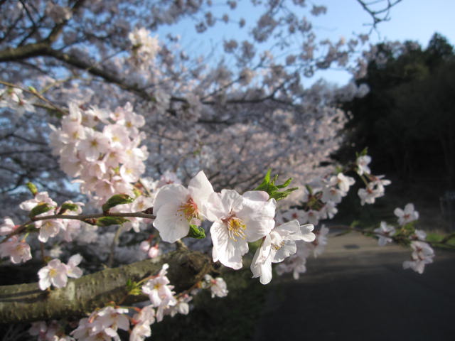 c0133096_2142339.jpg
