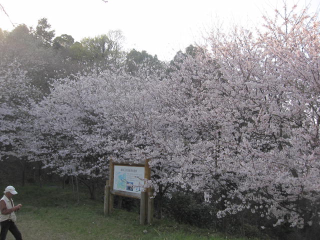 c0133096_2151931.jpg