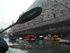 墨田川花見_c0121102_1237389.jpg