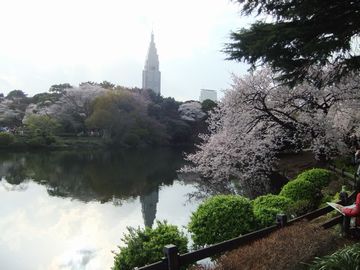 花見その2@新宿御苑_f0120102_944931.jpg