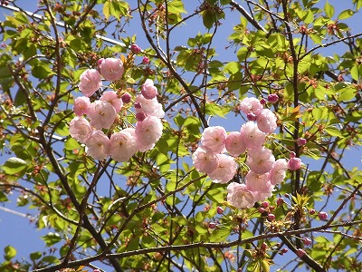 f0187402_21444351.jpg