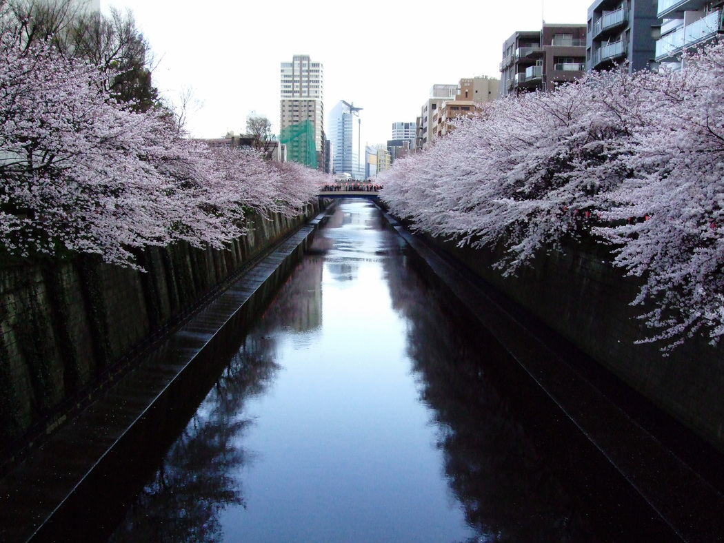 c0120903_132138.jpg