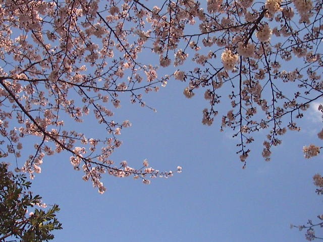 f0038407_14115847.jpg