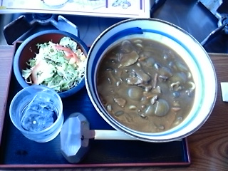 カレーうどん_f0232107_20292826.jpg