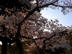 b0183911_23295340.jpg