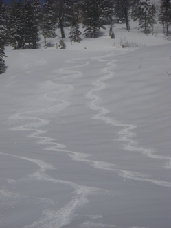 f0071311_00168.jpg