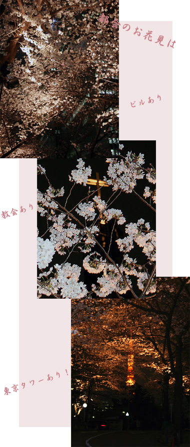 花見 in 都会のど真ん中_d0133320_0484278.jpg