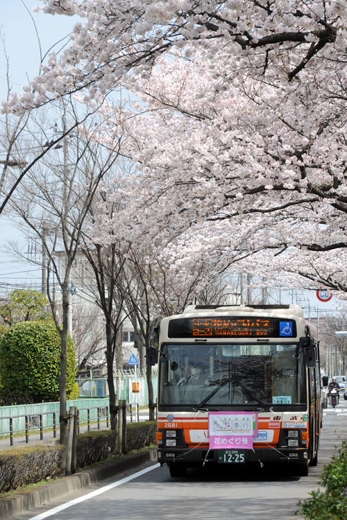 足立花季行　花めぐりバス2010　その2_e0109321_22333196.jpg