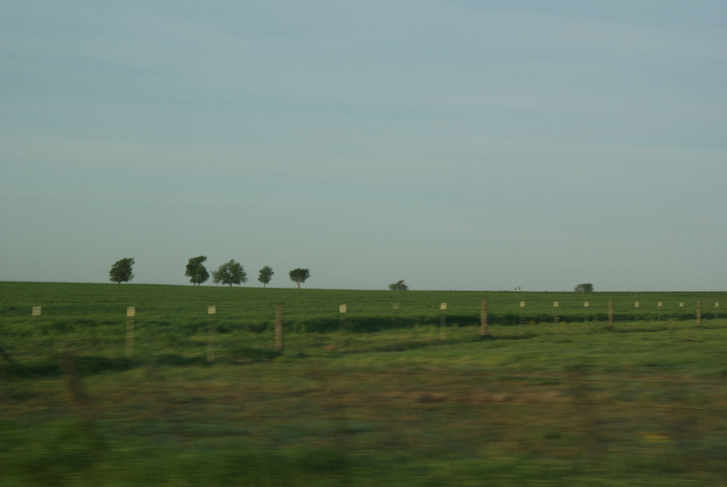 a0114622_23474022.jpg