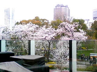d0133225_16503199.jpg
