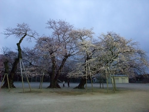 f0147025_21402910.jpg