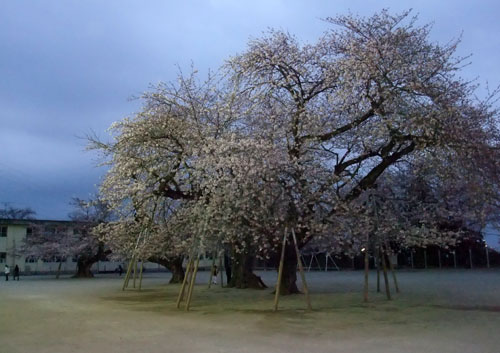 f0147025_21404352.jpg
