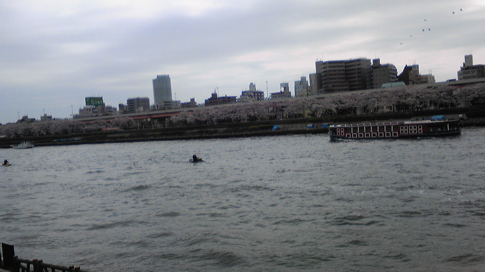 c0039428_1058262.jpg