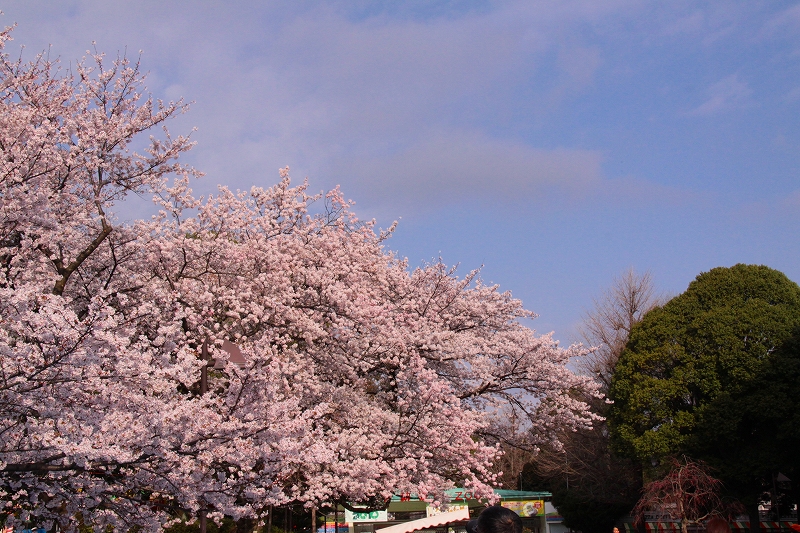 f0229832_14541550.jpg