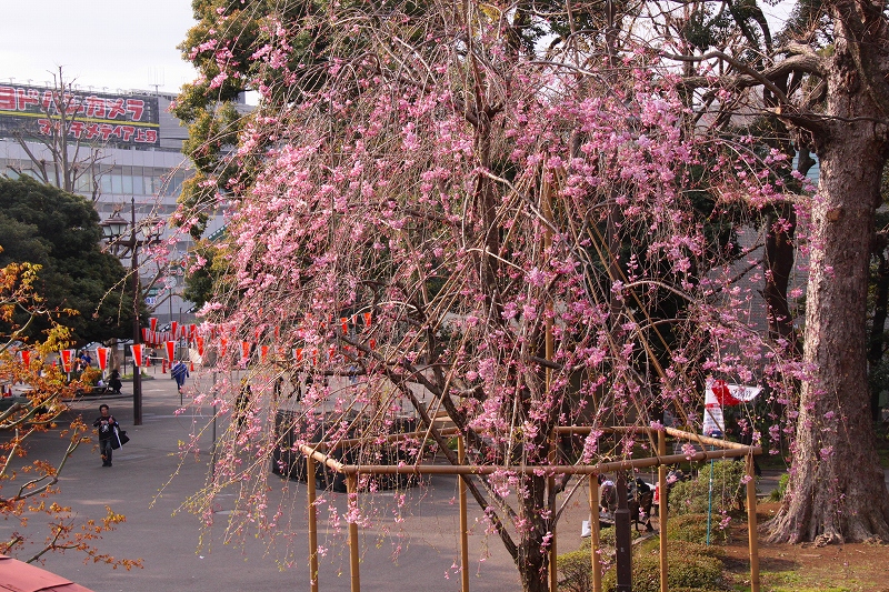 f0229832_14581671.jpg