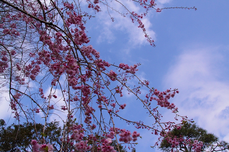 f0229832_151178.jpg