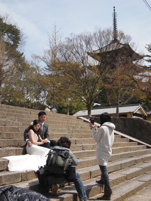 桜の興福寺_d0105133_20375898.jpg