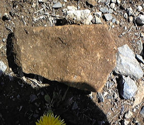 f0161535_0564816.jpg