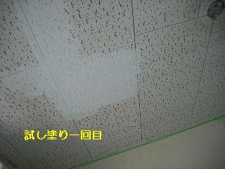 ジプトン塗装と煙草のヤニ_f0031037_2029921.jpg