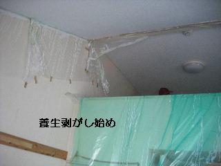 ジプトン塗装と煙草のヤニ_f0031037_2030054.jpg