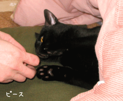 a0166338_2172582.gif