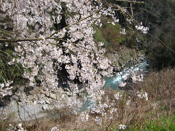 b0149340_20432151.jpg