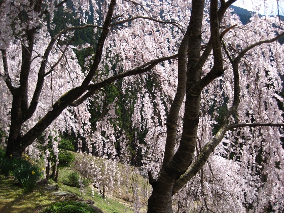 b0149340_2105533.jpg