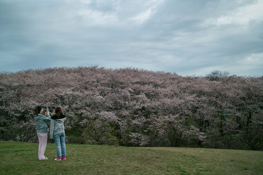 c0058941_1794647.jpg