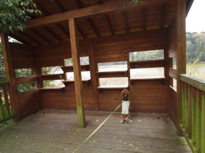 c0119142_11402.jpg