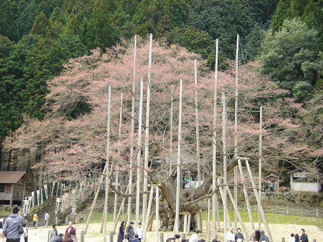 b0088444_217199.jpg
