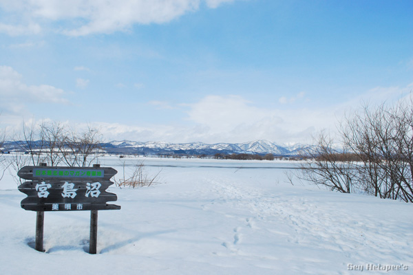 f0166545_22302194.jpg