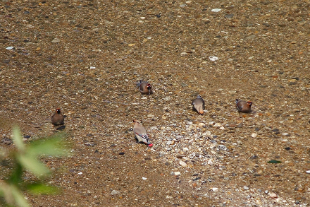 a0157046_6404787.jpg