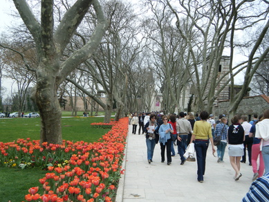 c0117848_042080.jpg