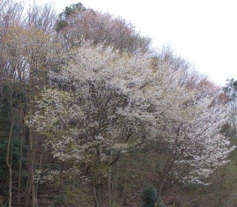f0043750_22273627.jpg