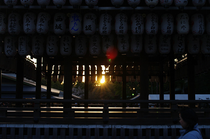 夜桜　～円山公園～_f0152550_18161924.jpg