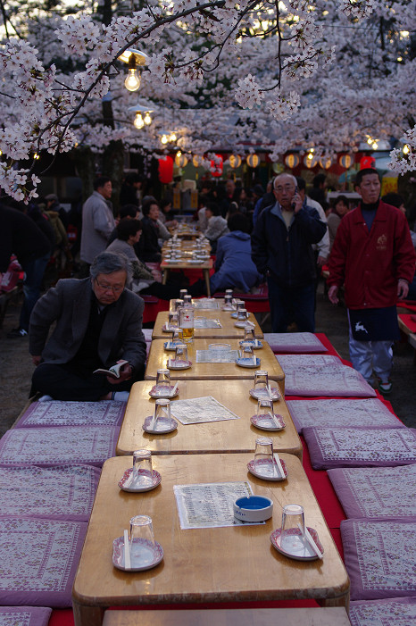 夜桜　～円山公園～_f0152550_18163687.jpg