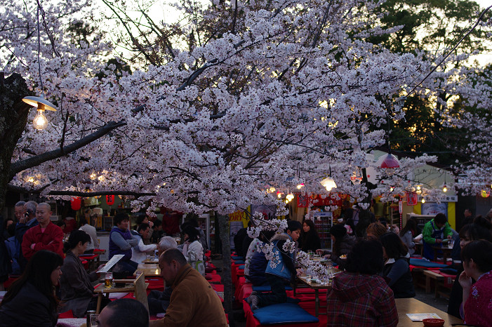 夜桜　～円山公園～_f0152550_18164171.jpg