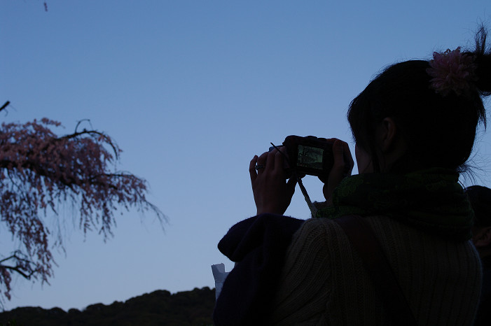 夜桜　～円山公園～_f0152550_1817284.jpg