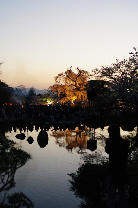 夜桜　～円山公園～_f0152550_18183497.jpg