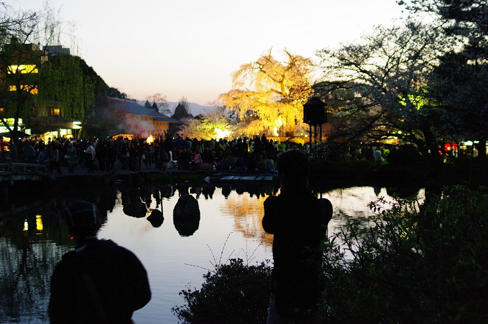 夜桜　～円山公園～_f0152550_18184280.jpg