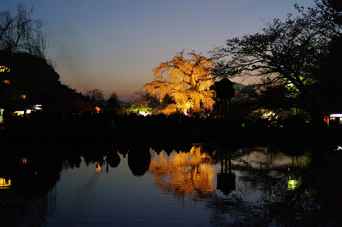 夜桜　～円山公園～_f0152550_18185314.jpg